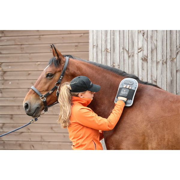 Equilibrium Massage Mitt - Grey